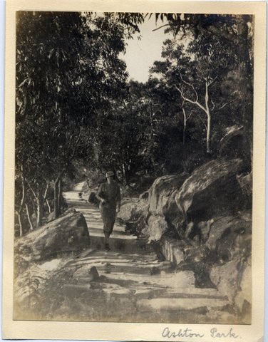 'Ashton Park 2' RAHS-Osborne Collection, 1930