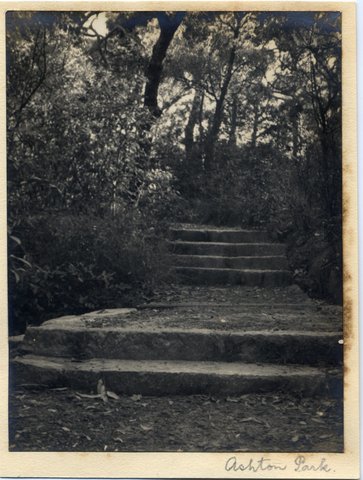 'Ashton Park 3' RAHS-Osborne Collection, 1930