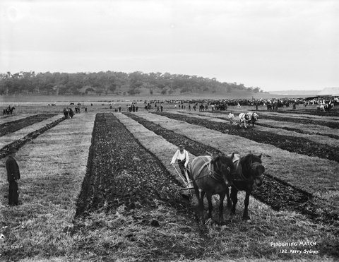 Ploughing match from The Powerhouse Museum Collection, 1884–1917