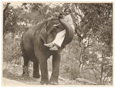 Helen Twelvetrees at Taronga Park Zoo, 1935