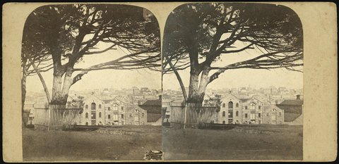 Macquarie Place Sydney, 1858 - 1860, 1858–60