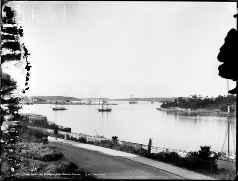 Looking down the harbour from Domain, Sydney, 1900