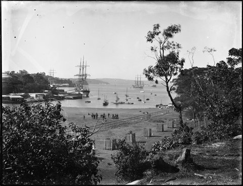 Harbour side scene, Careening Cove, Kirribilli, in Milson Park, 1900