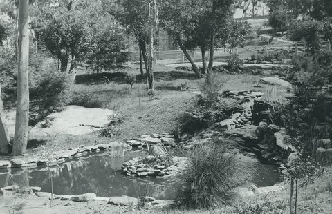 Taronga Park Zoo - 1924