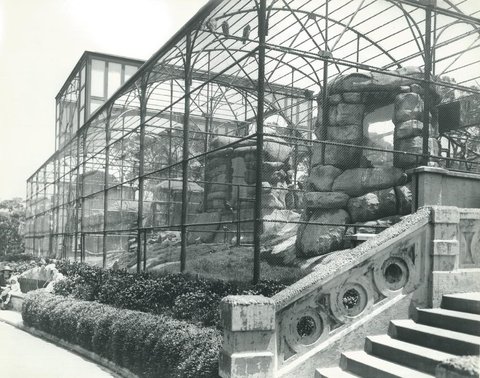 Taronga Park Zoo - 1924