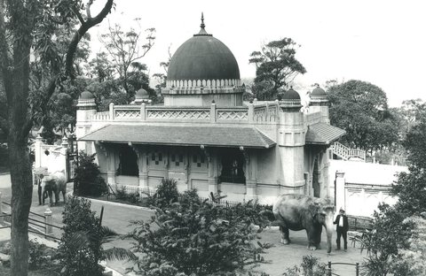 Taronga Park Zoo - 1924
