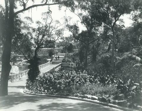 Taronga Park Zoo - 1924
