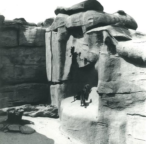 Taronga Park Zoo - 1924