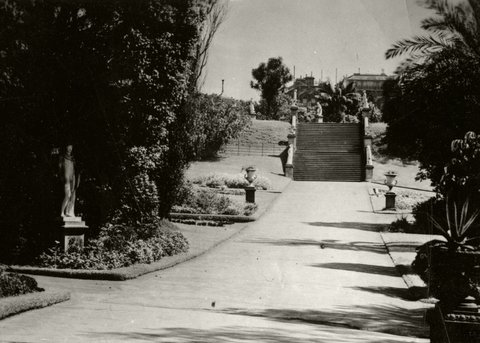 Sydney Botanic Garden - 1940