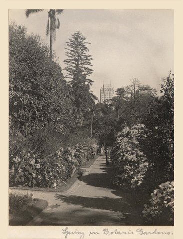 'Spring in Botanical Gardens' - RAHS-Osborne Collection c. 1930s
