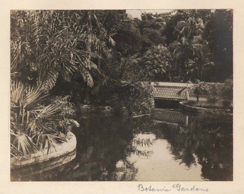 'Botanic Gardens 6' - RAHS-Osborne Collection c. 1930s