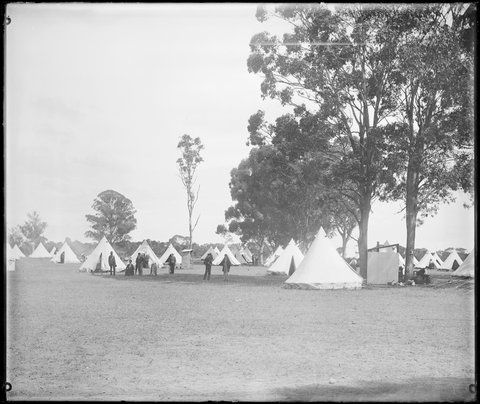 Believed to be NSW volunteers Easter Encampment at Windsor April 1884 - Tents
