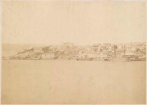 Panorama of Darling Harbour from Balmain - No.1, c. 1880