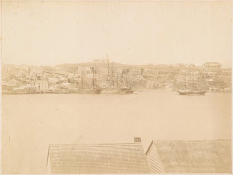 Panorama of Darling Harbour from Balmain - No.2, c. 1880