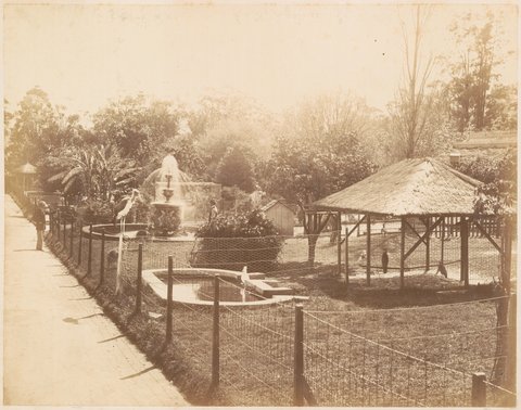 Botanic Gardens (Sydney, NSW), c. 1880