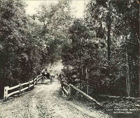 Lady Carrington Road, Royal National Park (NSW), c. 1925