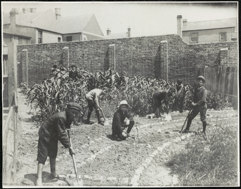 Darlington Public School - gardening, c. 1910