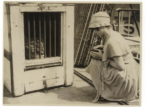 Box Brownie photographer and lion, ca. 1925-ca. 1945, Sam Hood, c. 1925