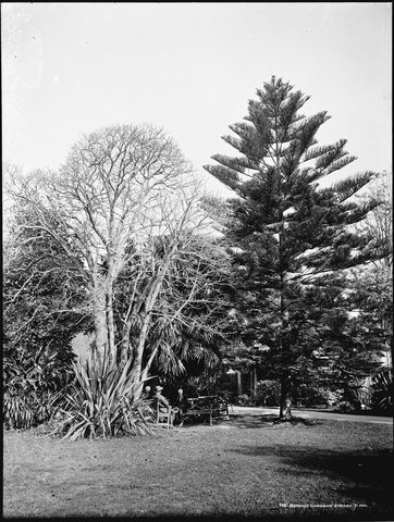 Botanic Gardens, Sydney, c. 1900