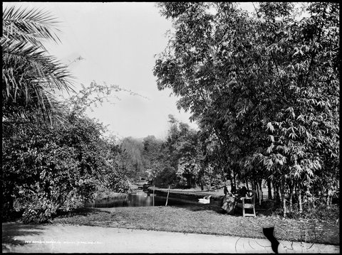 Botanic Gardens, Sydney, c. 1900