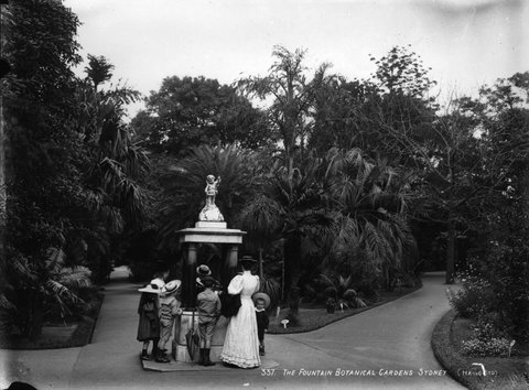 The fountain, Botanic Gardens, Sydney, c. 1900