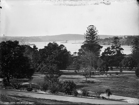 Sydney Harbour from Botanic Gardens, c. 1900