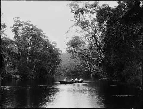 Four men in rowing boat on river possibly Lane Cove, c. 1900
