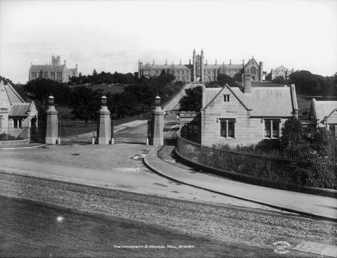 The University and Medical Hall, Sydney, c. 1900