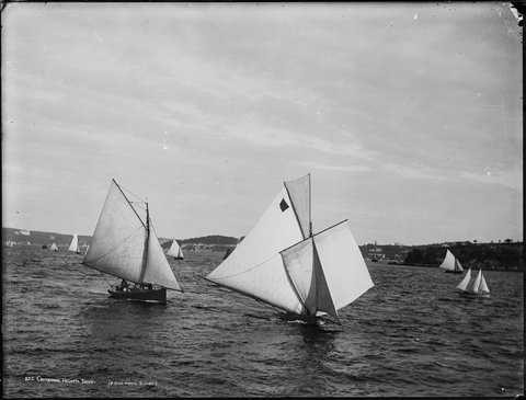 Centennial Regatta, Sydney, c. 1900