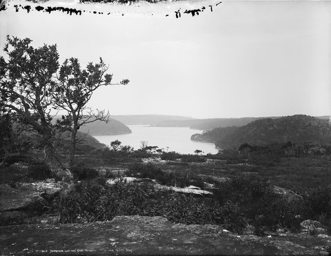 Middle Harbour, looking east, Sydney, c. 1900