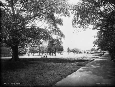 Hyde Park, Sydney, c. 1900