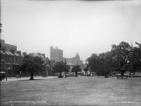 Elizabeth Street from Hyde Park, Sydney, c. 1900