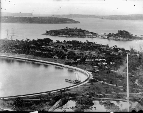 Sydney Harbour in 1880
