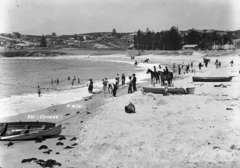 Coogee from The Powerhouse Museum, c. 1900