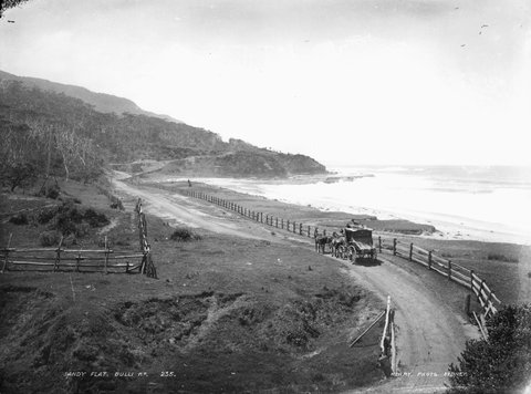 Sandy Flat, Bulli Road from The Powerhouse Museum, c. 1900