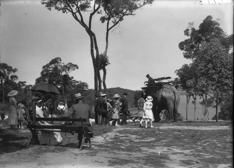 In Taronga Park, 1917