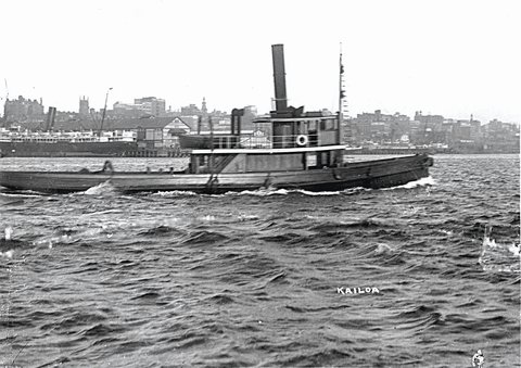 Sydney tug GREYHOUND II, c. 1902
