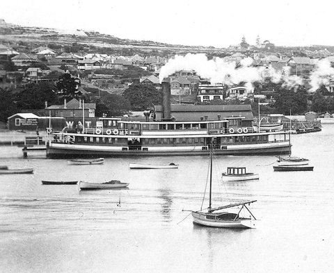 Sydney ferry GREYCLIFFE, 1920s