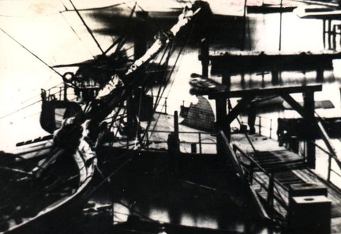 Sydney Ferry BUNGAREE, 1872–1900