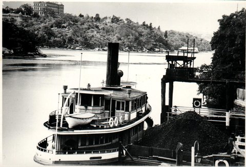Sydney Ferry LADY FERGUSON at Fig Tree wharf c. 1915