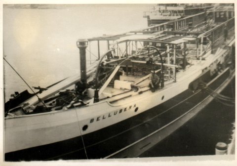 Sydney Ferry BELLUBERA 1935-1936, 1935–36