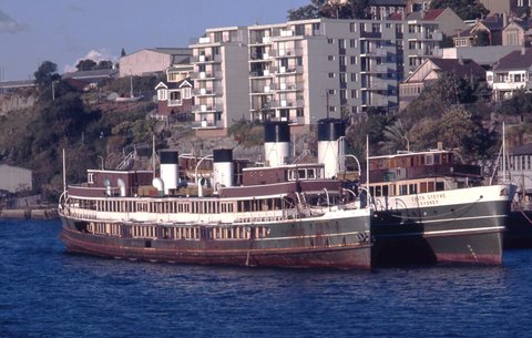 Sydney Ferries BELLUBERA and SOUTH STEYNE at Balmain, 1970s