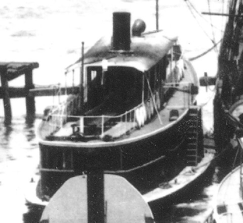 Sydney Ferry WALLABY at Milsons Point Ferry Base 1894