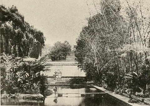 Cranbrook pond 1895