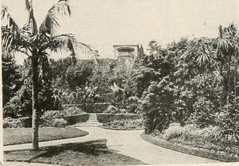 Cranbrook Garden 1895