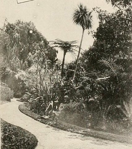 Cranbrook Grounds 1895