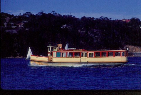 Sydney Ferry REGALIA ex RODNEY approaching Mosman Bay December 1971