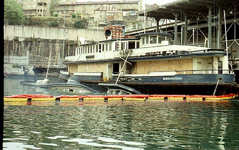 Sydney Ferries KAMERUKA and KARRABEE laid up in Pyrmont circa 1986, c. 1986