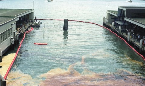 Sydney Ferry KARRABEE sunk at Circular Quay after Great Ferry Boat Race January 1984