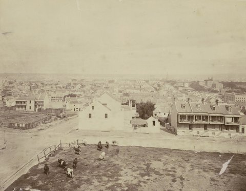 'Hilton', John Rae's House in Liverpool Street, Sydney c.1880, c. 1880